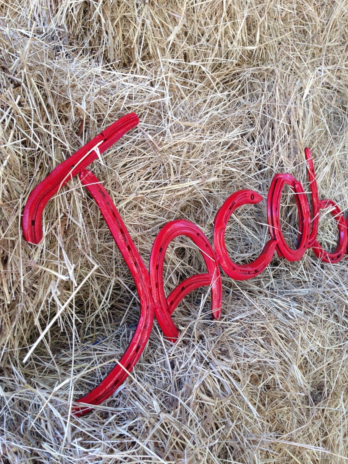 Horseshoe names made out of recycled. Horseshoe decor.