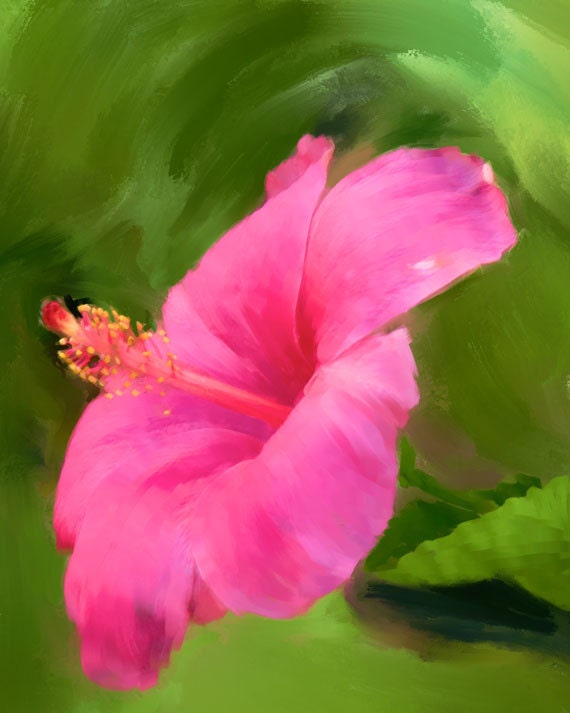 Items similar to Pink Hibiscus Flower Art Giclee Print on Etsy