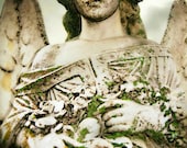 8x12 Cemetery Angel, Veilwalker of Thousand Steps, Goth Photography, Halloween Photography, Fine Art Photography.