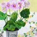 High quality blank greeting card professionally printed from an original painting called Little Dog by Claire Leggett