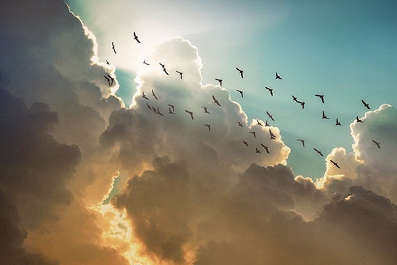 Storm Clouds, sunbeams, birds, blue green yellow orange, nature photography, inspirational God beams, Free US shipping