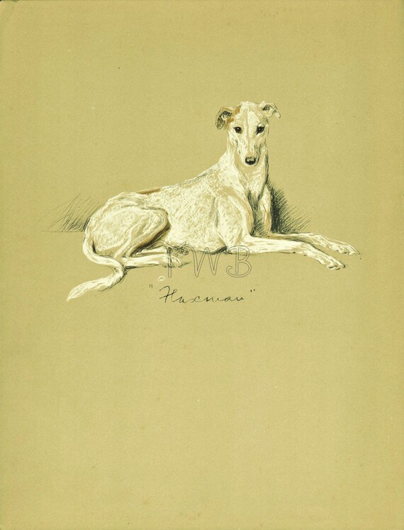 GREYHOUND Dog Print, Puppy Print, Wall Decor, Wall Art, Antique Decor, Interior Design, Lucy Dawson, 1930s Home Decor, Dog Decor, B-3