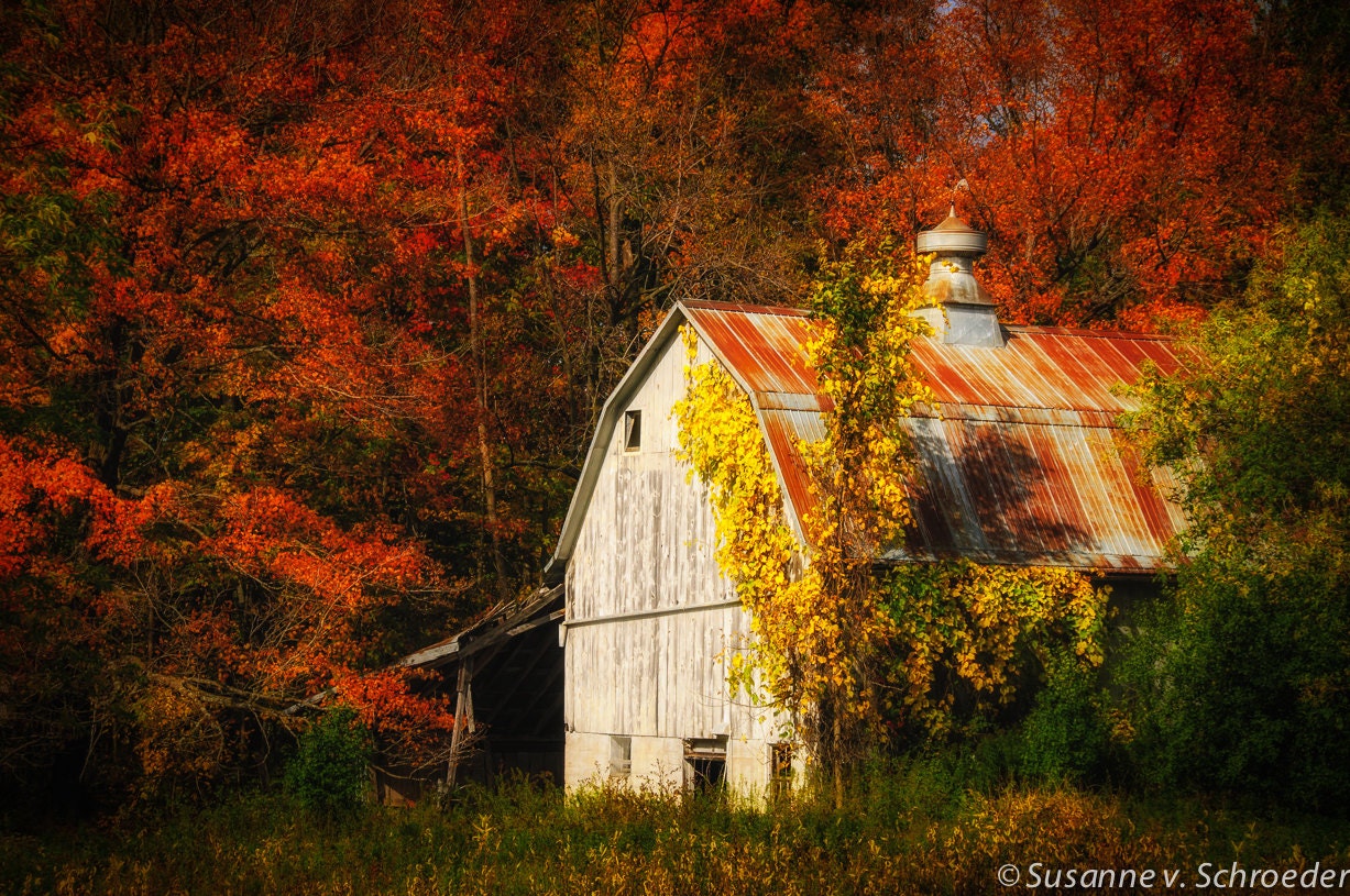 Nature Photography Old Barn Fall Colors Autumn Decor Fine