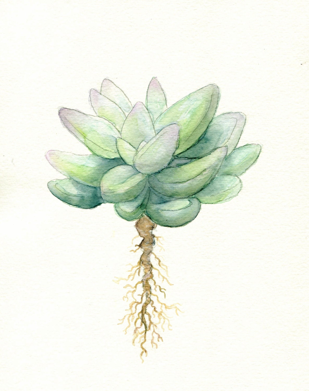 Simple Succulent Print of Original Watercolor Minimal Art