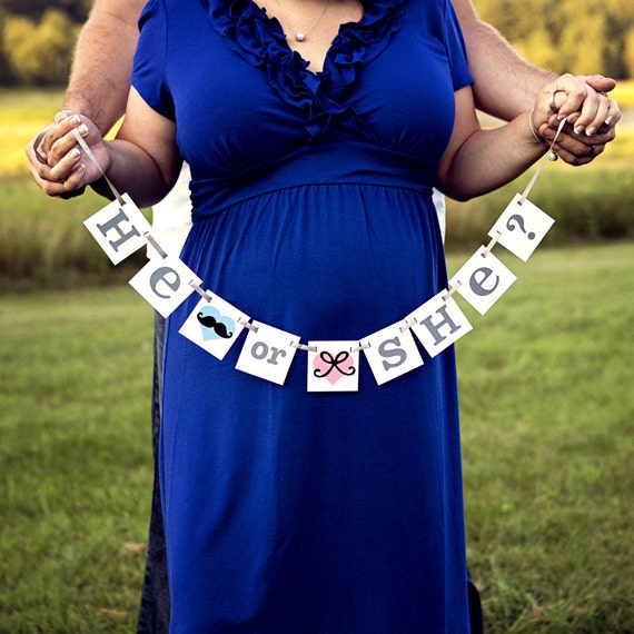 he-or-she-banner-maternity-photo-shoot-new-baby-reveal