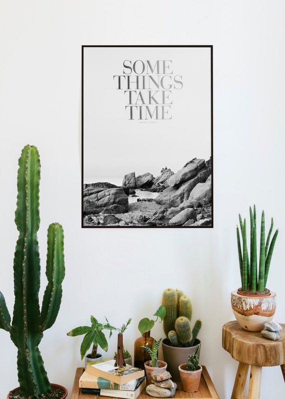 Some things take time. darksilver edition. photography in b/w Stue kaktus