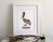 Louisiana State Bird, Nature art, Outdoor art, Vintage Map art, Art print, Wall decor, Rustic Nursery, Map prints - BROWN PELICAN