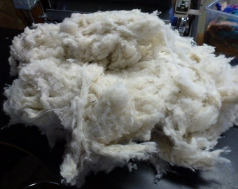 One Pound 21 Micron Merino Wool Stuffing