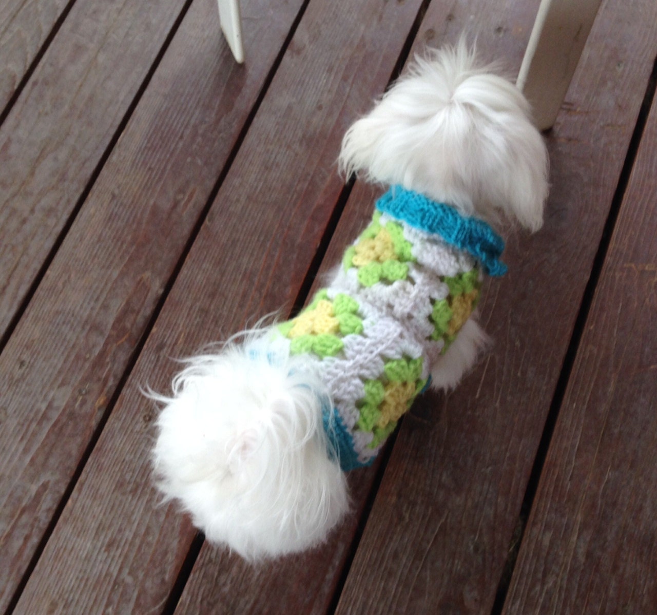 Small Granny Square Dog Sweater Chihuahua Clothes by RocknHotdog