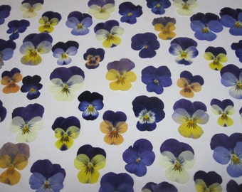 Dried Pressed Flowers for Crafting - Natural violas pansies johnny jump-ups mix