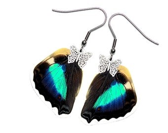 Real Butterfly Wing Earrings (Doxocopa Cherubina HW - E172)