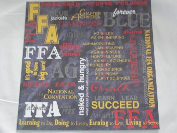 Essay on ffa 07 image