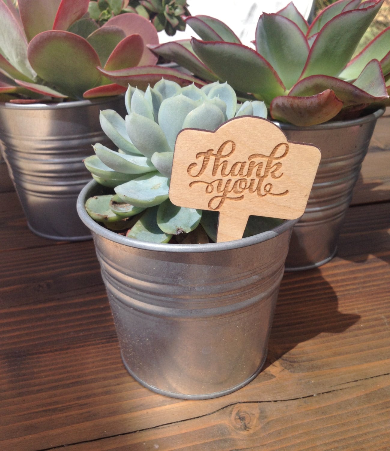 Set of 10 Thank you plant sticks for wedding favors plants