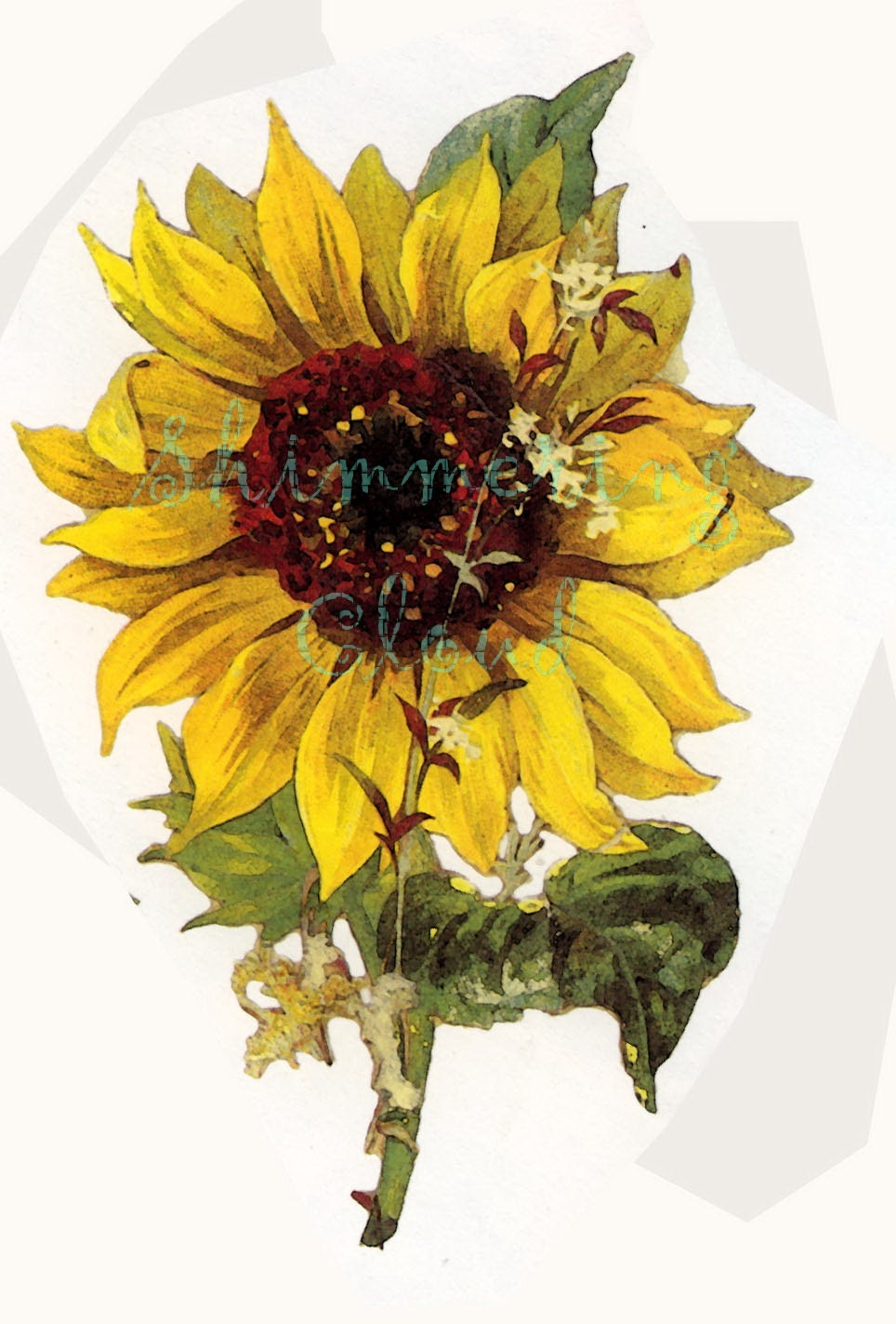 Download Digital print vintage card sunflower yelow floral
