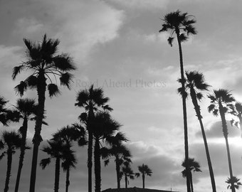 Popular items for photo palm trees on Etsy
