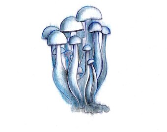 Mushroom drawing | Etsy