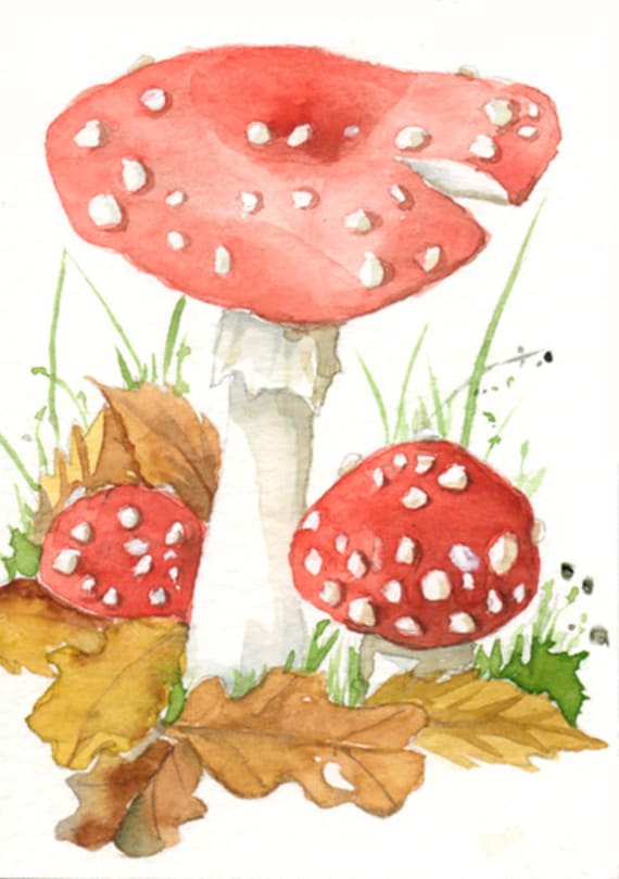 Agaric mushrooms Original Aceo watercolor painting red