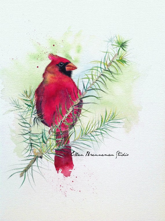 cardinal art print colorful cardinal art cardinal art cardinal art print colorful cardinal art cardinal art