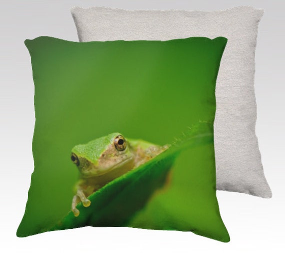 cute frog pillow