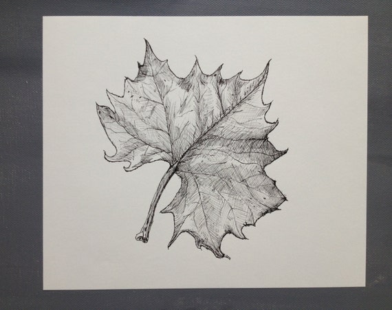 8x10 Detailed Original Autumn Leaf Ink Drawing by WoodlandMeadows