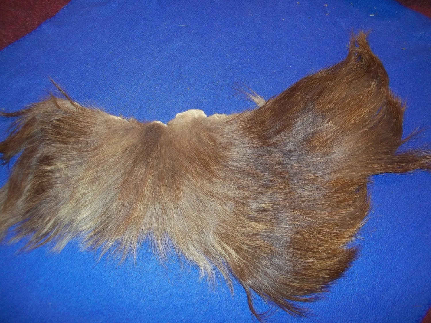 Real Elk hide animal skin genuine leather fur tanned taxidermy