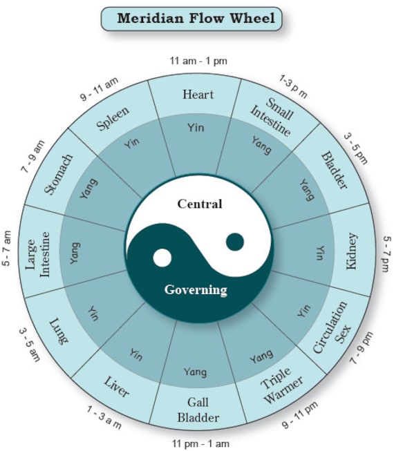 Meridian Hourly Flow Chart Wheel Chinese Medicine Acupressure