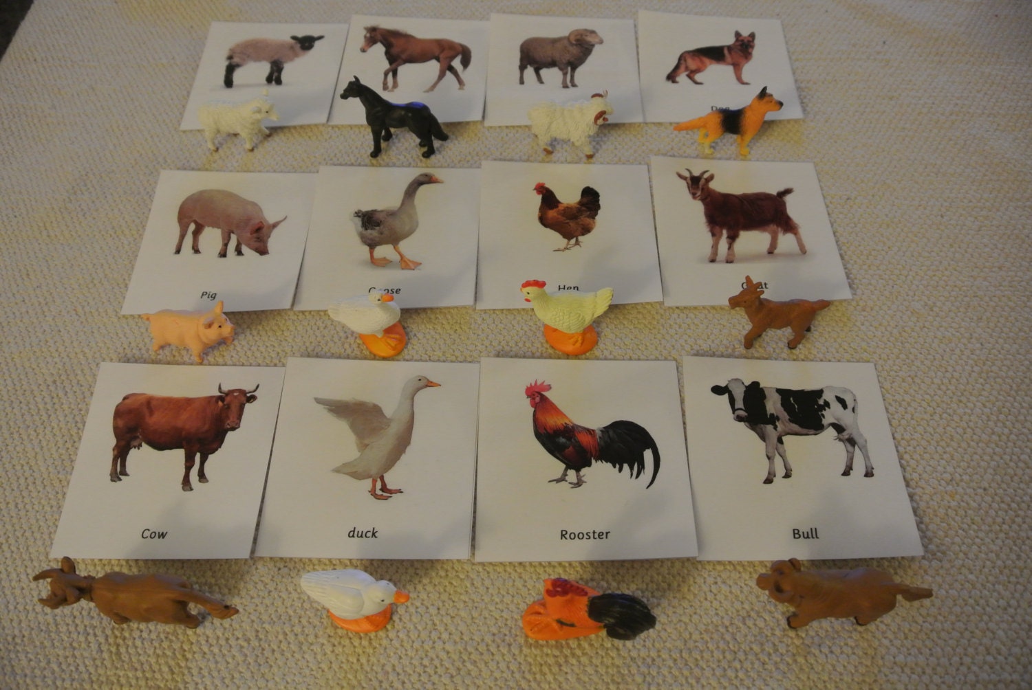 Montessori Common Farm Animals 3 Part Cards With Miniatures