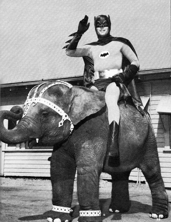 c.1960's Batman riding an Elephant   :Old Antique Vintage Photograph Photo Art Print -Reproduction