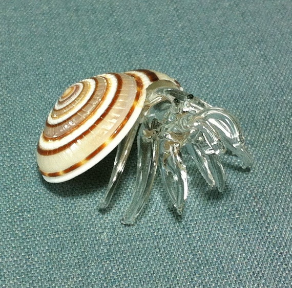 blown glass hermit crab shell