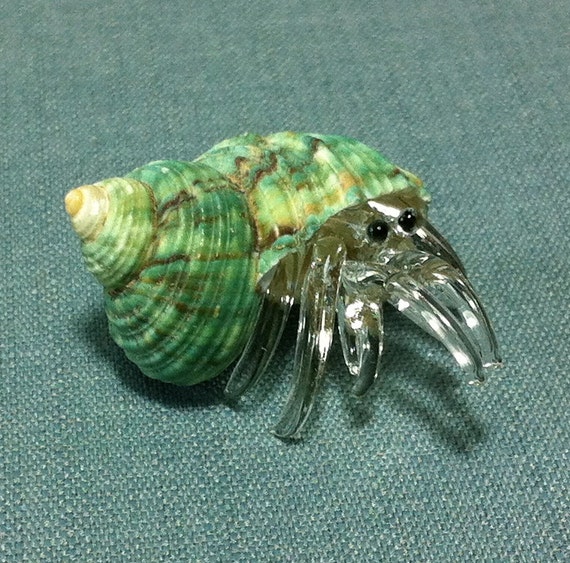 blown glass hermit crab shell