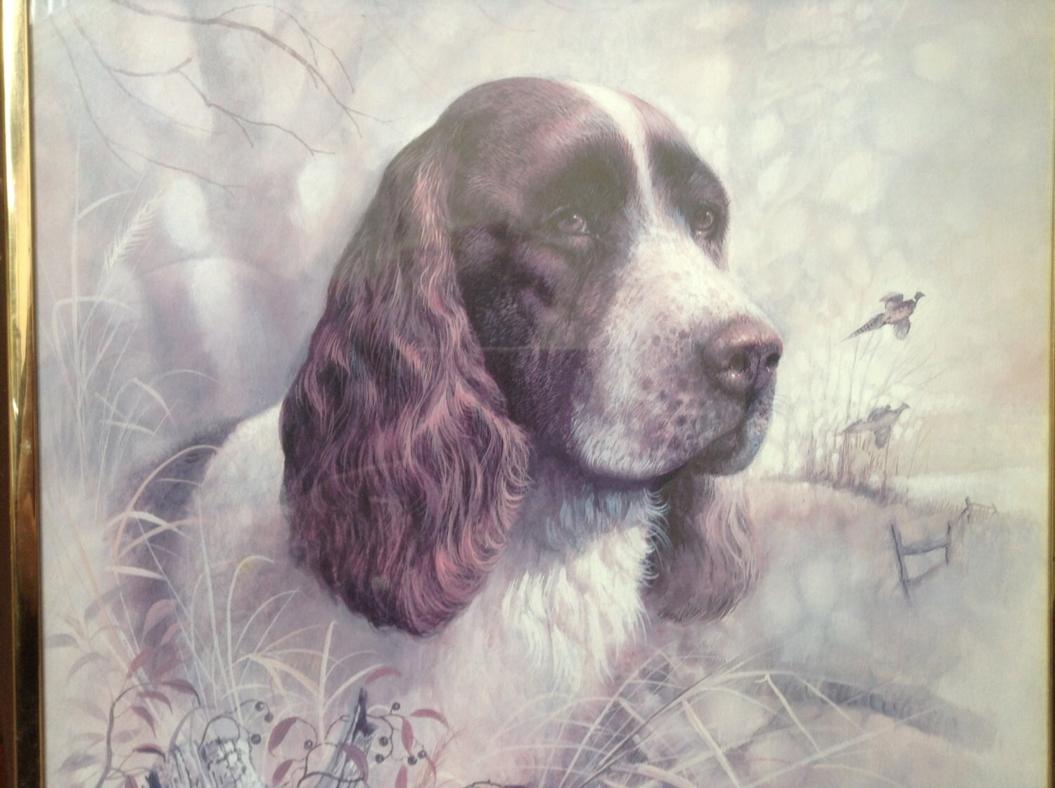 Ruane Manning framed Print Spaniel hunting dog by crazygoodbananas