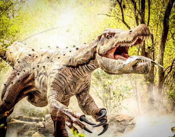 Dinosaurs Fine Art Photography Prints Wall Art Mc Awesome