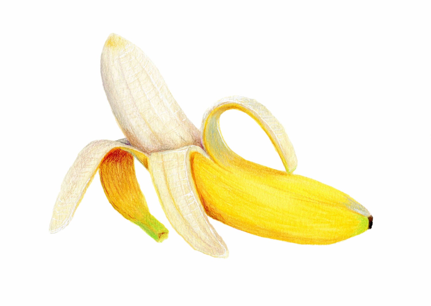 Банан арт акварель