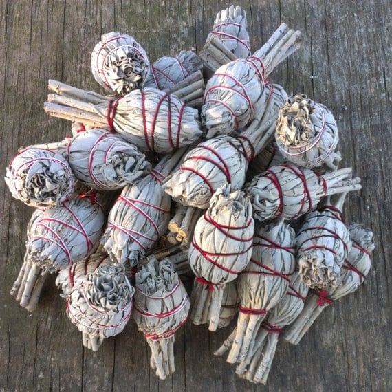 BULK 30 Pack of Mini White Sage Smudge Sticks by KEEPINITZEN