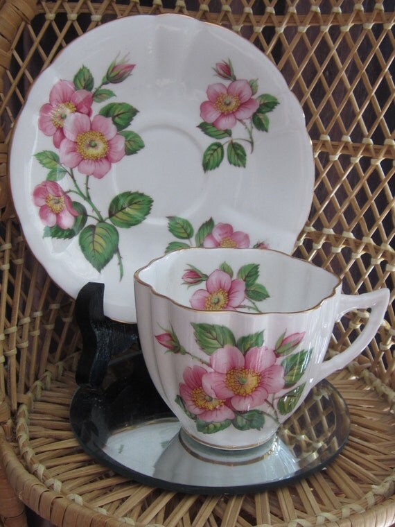 WINDSOR bone china tea cup and saucer Alberta Wild