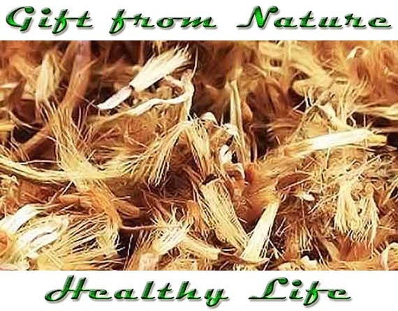 Dried+Arnica+Flowers 50g ARNICA Flower Cut Dried herb Loose Herbal Tea,Arnica montana