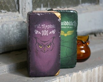 Brick BOOKENDS Set Owl Training 101 and Quidditch Through the Ages - Repurposed Bricks to look like Hogwarts Curriculum - Set of 2