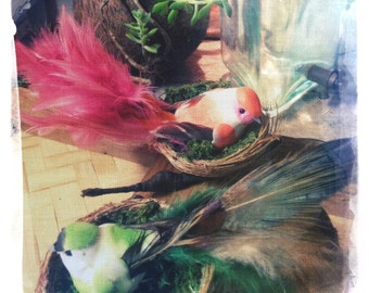 NESTING BIRD HEADPIECE quirky headwear