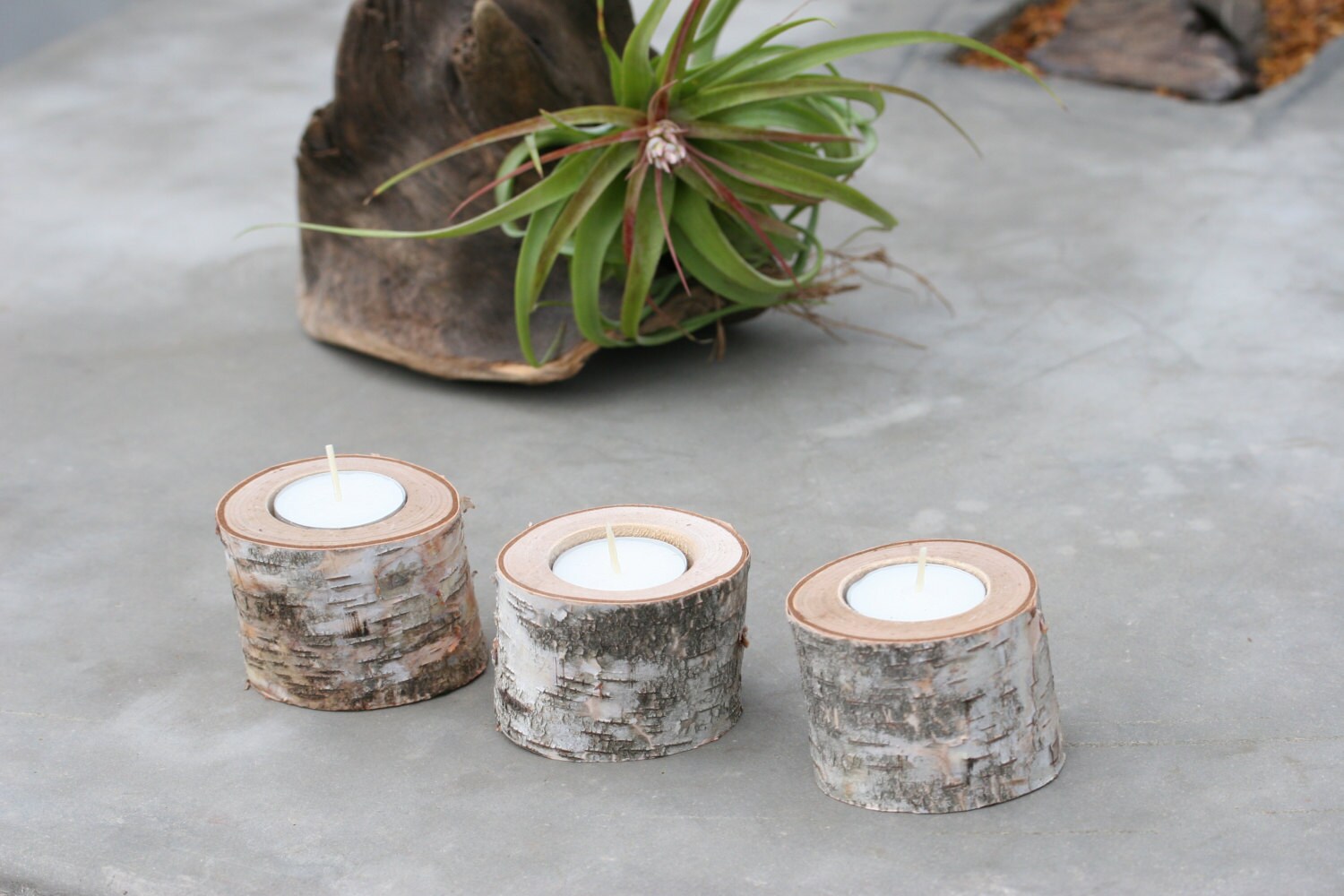 Candle Holders Natural Birch Tree Candle Holder by VivaLaGreen