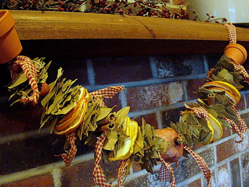 Holiday Garland Dried Fruit and Spice Garland Apple and