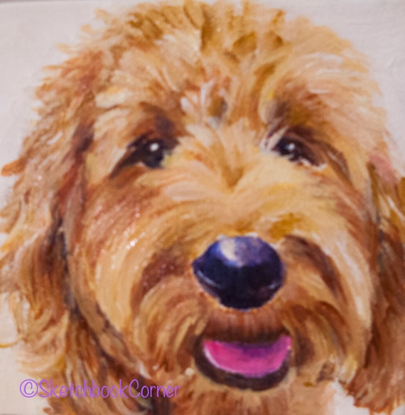 Goldendoodle 2 Original Painting Acrylic on by SketchbookCorner