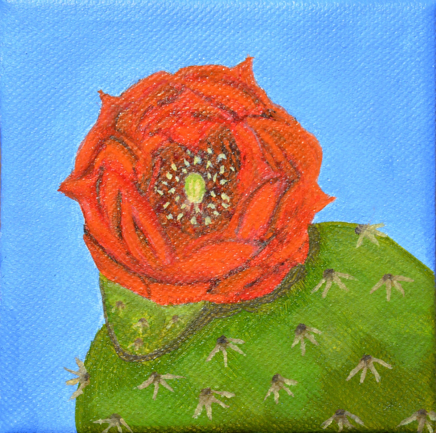 Prickly Pear Cactus Flower Oil Painting Wild Flower by MelidasArt