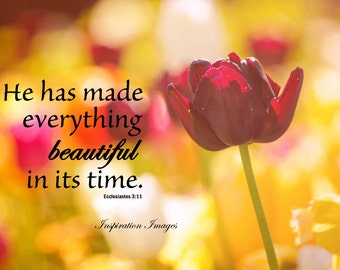 Everything is Beautiful Ecclesiastes 3:11