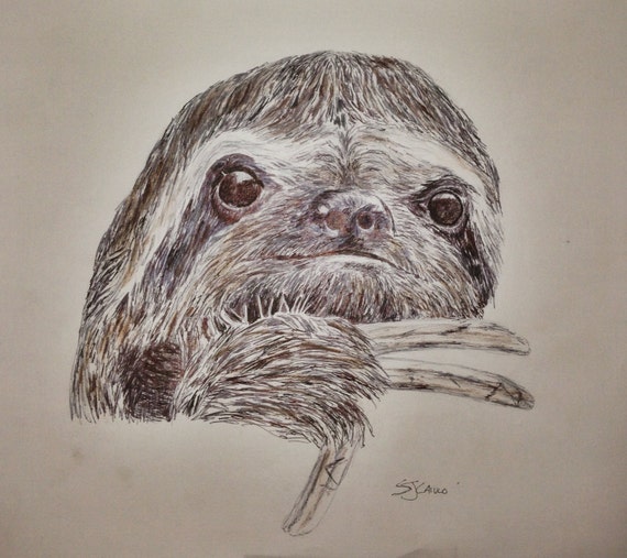 Items similar to Original Peaceful Sloth Drawing on Etsy