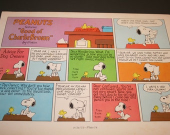 Typing snoopy | Etsy