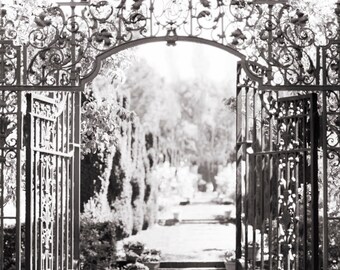 Italian Garden Photography - Il Giardino, Nature Photography, Black and White Wall Decor, Sepia Photograph, Large Wall Art