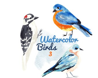 Watercolor Painted Bird Clip Art Birds Commercial use digital scrapbooking Cardinal bird clipart instant download
