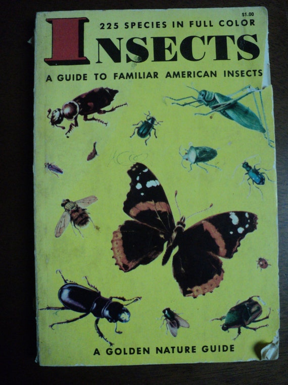 Vintage Insects Reference Book A Guide To By Katychttvintage