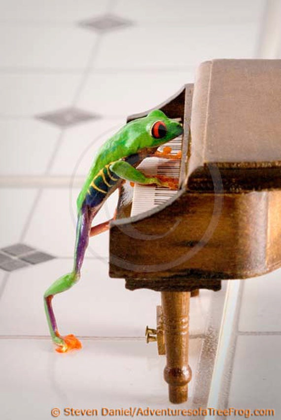 Frog at the Piano Music Art Piano Art Miniature Piano Tree