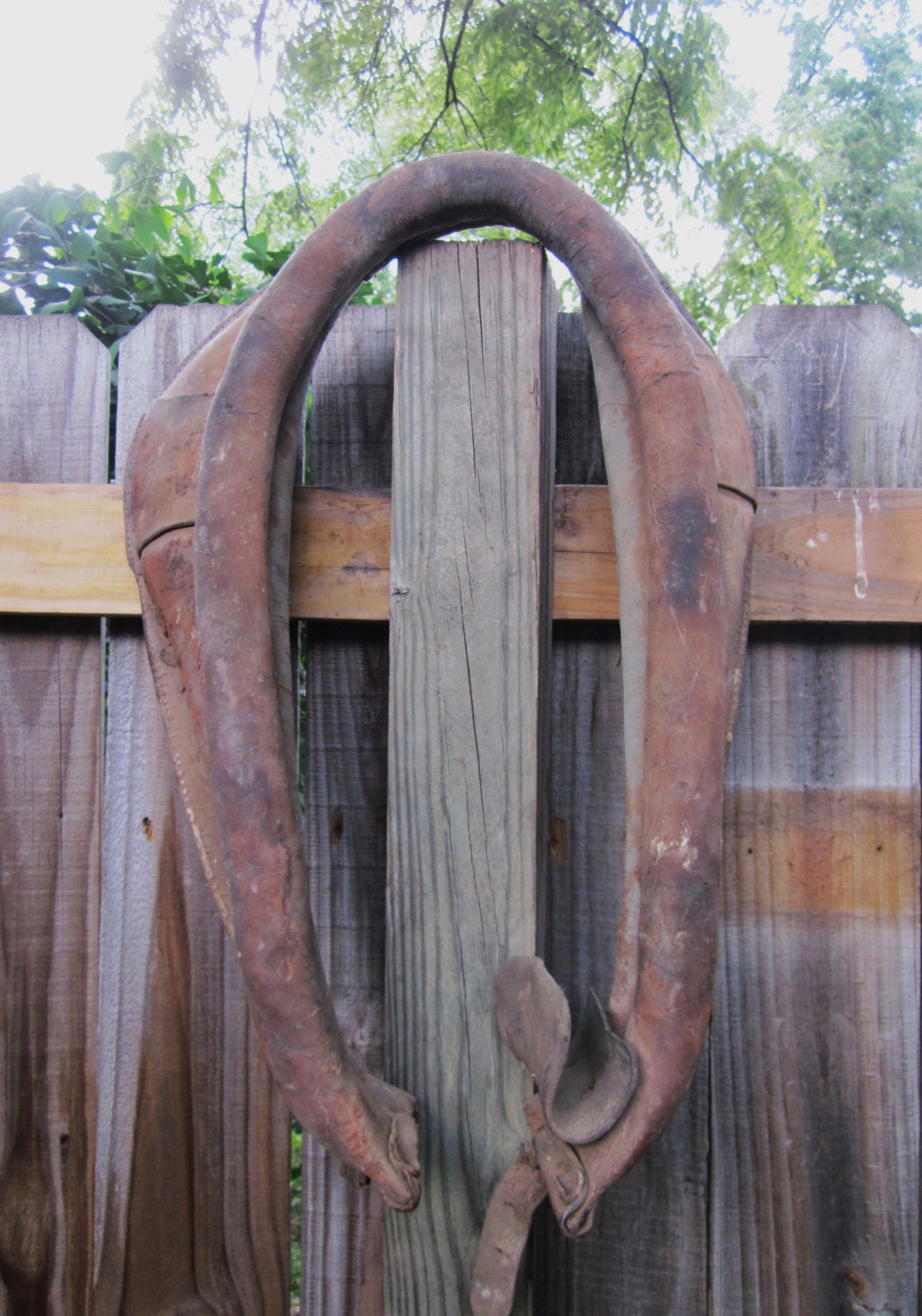 Old Plow Horse Harness and Hames Rustic Leather Horse Collar